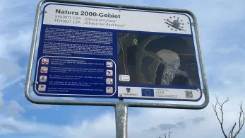 Kiesgrube Rogätz 2-2