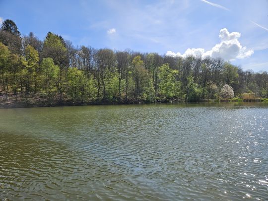 Oberer Hüttenweiher (Müsen)-2