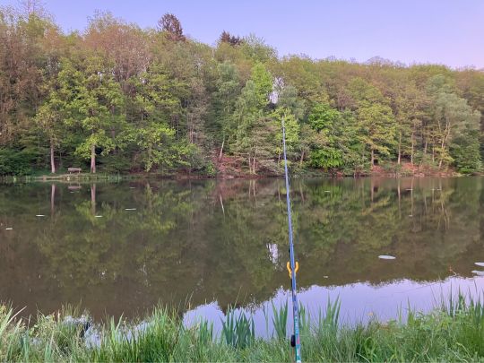 Oberer Hüttenweiher (Müsen)-4