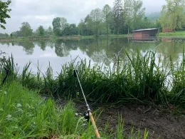 Oberer Hüttenweiher (Müsen)-1