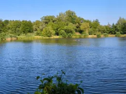 Heidmoor (Heidkaaten)