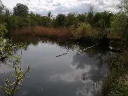 Erdelöcher Radewege-1