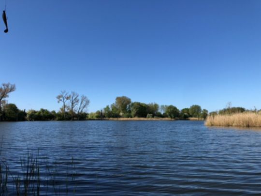 Erdelöcher Radewege-4