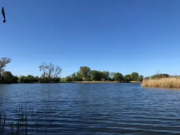 Erdelöcher Radewege-4