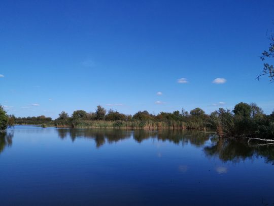 Erdelöcher Radewege-2
