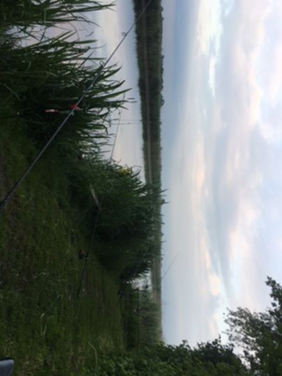 Alte Sorge