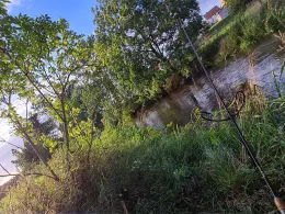 Große Röder (Radeburg)-2