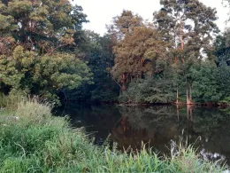 Große Röder (Radeburg)