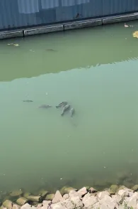 Düsseldorfer Hafen-1