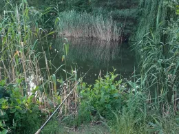 Kiesgrube Bernsdorf-3