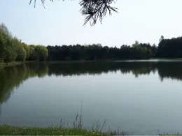 Kiesgrube Bernsdorf-2