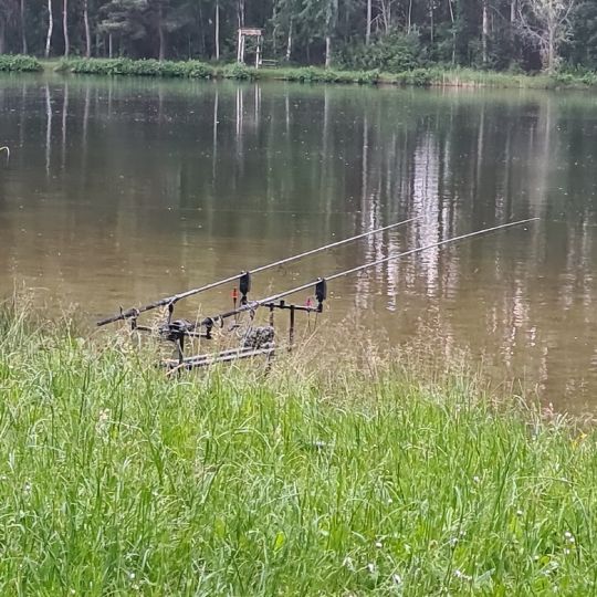 Kiesgrube Bernsdorf-4