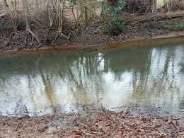 Stör (Neumünster)-1