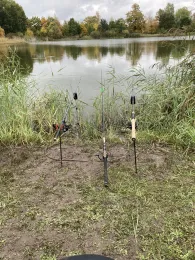 Teichwirtschaft Schönfeld-2