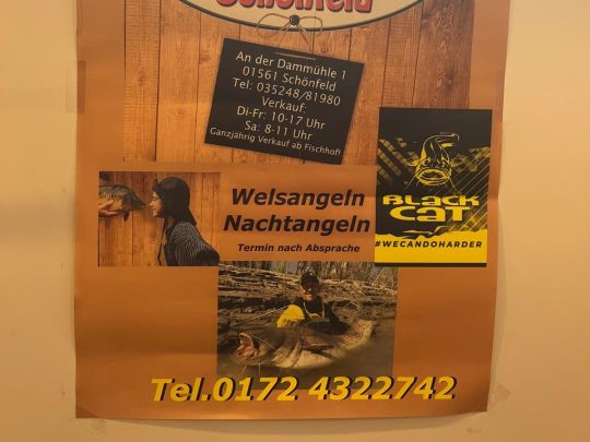 Teichwirtschaft Schönfeld-1