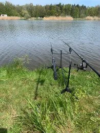 Teichwirtschaft Schönfeld