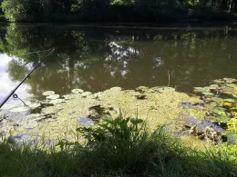 Hammerlache (Spremberg)-1