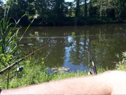 Hammerlache (Spremberg)