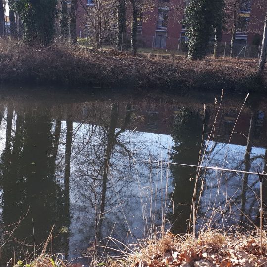 Hammerlache (Spremberg) ALLE ANGELN