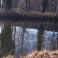 Hammerlache (Spremberg)-4