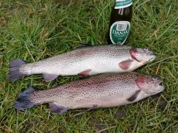 Lilleflod Ørredsø-1