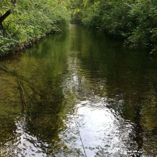 Sickergraben Isar 2 (links) angeln