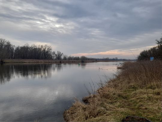Saale (Nienburg/Saale)