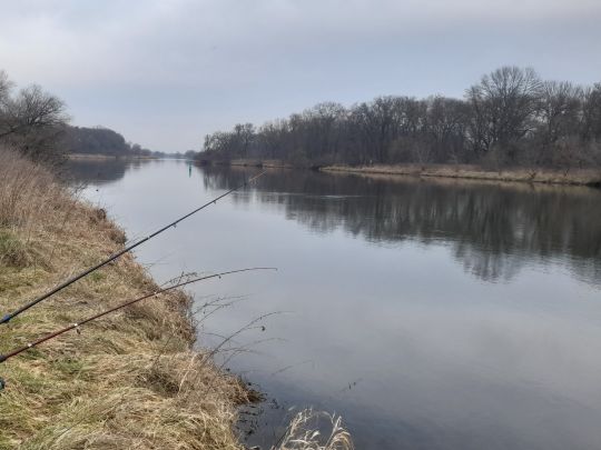 Saale (Nienburg/Saale)-1