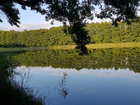 Wolfskuhlsee (Waren)-1