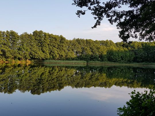 Wolfskuhlsee (Waren)-2