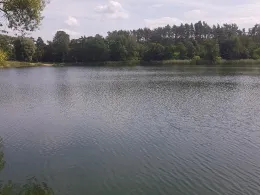 Dornbuschsee (Bralitz)