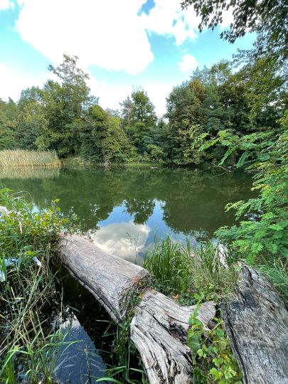 Dornbuschsee (Bralitz)-2