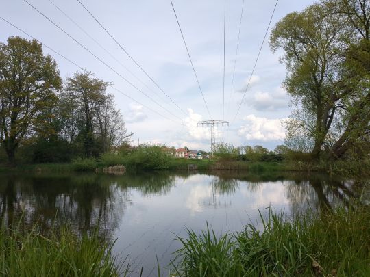 Ziegeleiteich Machern-1