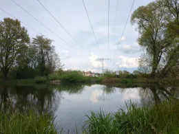 Ziegeleiteich Machern-1