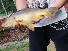 Ziegeleiteich Machern