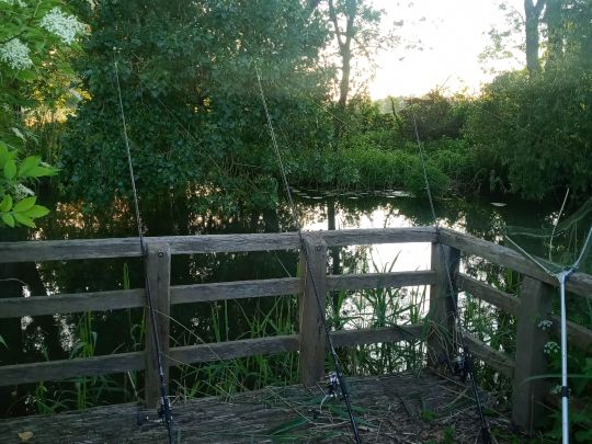 Mühlenkanal (Meinersen)