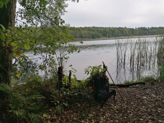 Paradiessee (Altlandsberg)-3
