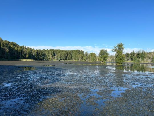 Paradiessee (Altlandsberg)-1