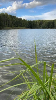 Paradiessee (Altlandsberg)-2