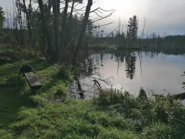 Paradiessee (Altlandsberg)-4