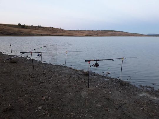 See Bocancea-Schit-1