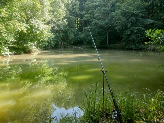 Klingensee (Kottweil)