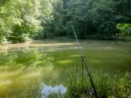 Klingensee (Kottweil)