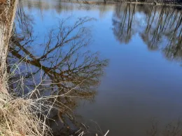 Unterer Teich Eisfeld