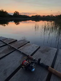 Moorsee (Käselow)-2