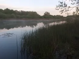 Moorsee (Käselow)-1