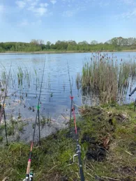 Moorsee (Käselow)-4