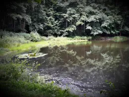 Silberhüttenteich (Blankenburg)