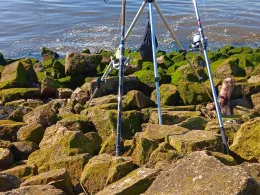 Neustädter / Lankenauer Hafen (Bremen)-1