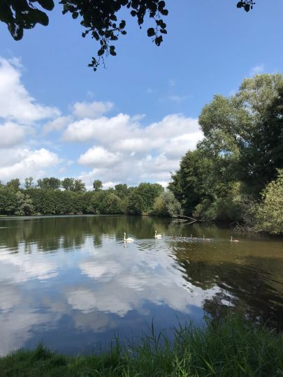 Spieksee (Dörpen)-1